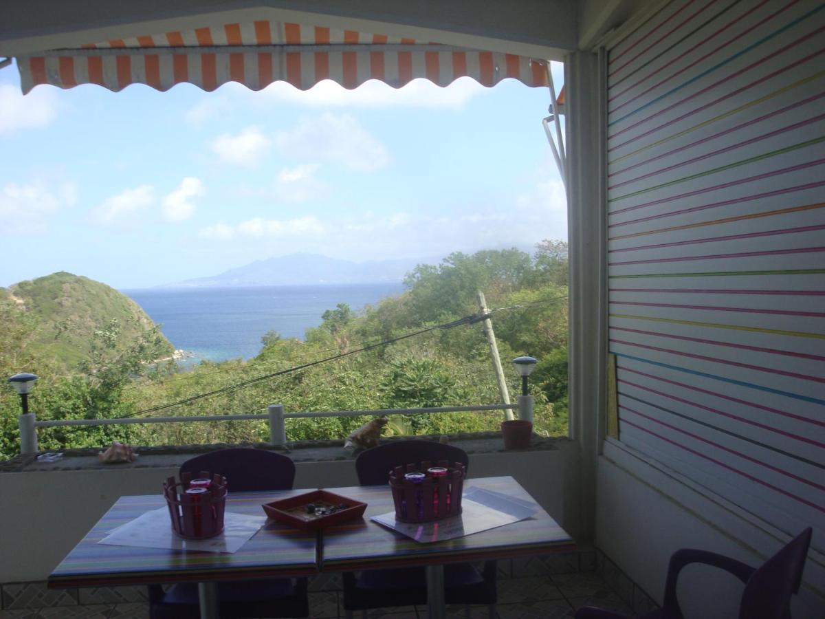 Escale Creole Appartement Terre-De-Haut Buitenkant foto